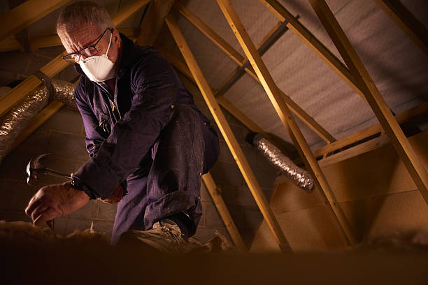 Best DIY Insulation Kits and Guidance in Grantley, PA